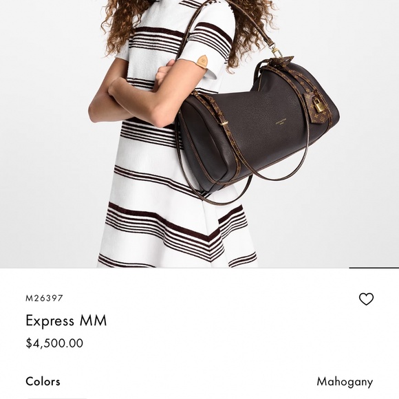 Louis Vuitton Express MM - Picture 1 of 10